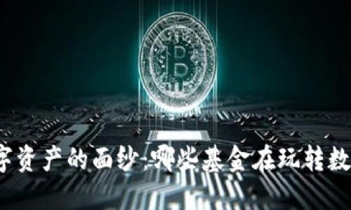 揭开数字资产的面纱：哪些基金在玩转数字货币？
