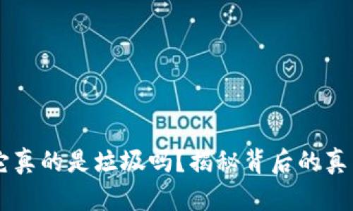 数字货币ZBC：它真的是垃圾吗？揭秘背后的真相与未来可能性