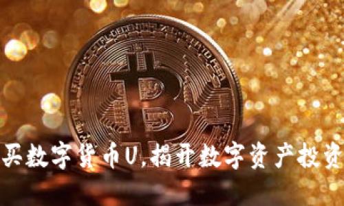 如何顺利购买数字货币U，揭开数字资产投资的神秘面纱
