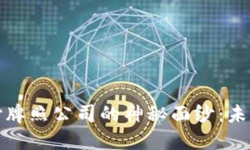揭开数字货币支付牌照公司的神秘面纱：未来金融的革命之路
