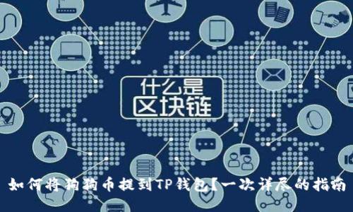 如何将狗狗币提到TP钱包？一次详尽的指南