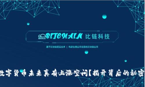 数字货币未来真有上涨空间？揭开背后的秘密！