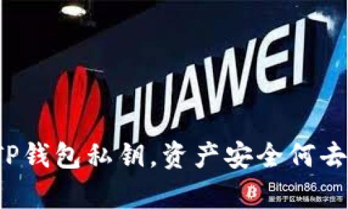 没有TP钱包私钥，资产安全何去何从？