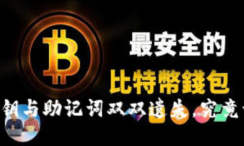 当TP钱包私钥与助记词双双遗失，究竟该如何自救？