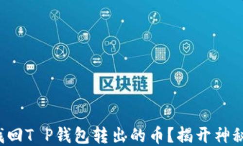 
如何找回T P钱包转出的币？揭开神秘面纱！