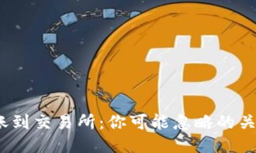 使用TP钱包转账到交易所：你可能忽略的关键因素是什么？