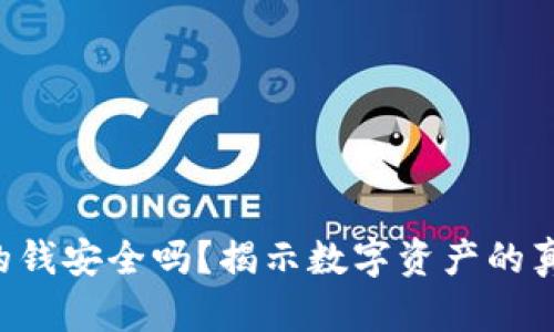 以太坊钱包里的钱安全吗？揭示数字资产的真正风险与机遇！