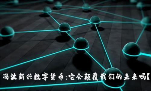 冯波新兴数字货币：它会颠覆我们的未来吗？