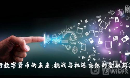 央行数字货币的未来：挑战与机遇交织的金融新篇章