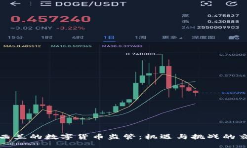 新西兰的数字货币监管：机遇与挑战的交锋