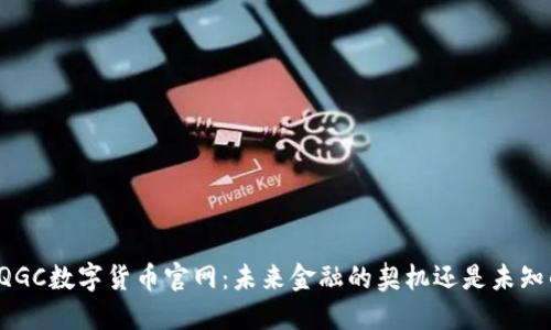 新加坡QGC数字货币官网：未来金融的契机还是未知的迷局？