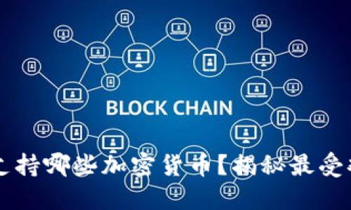 以太坊钱包能支持哪些加密货币？揭秘最受欢迎的钱包功能