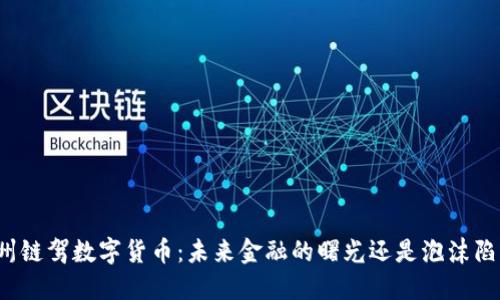 杭州链驾数字货币：未来金融的曙光还是泡沫陷阱？