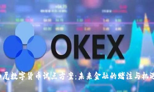 汕尾数字货币试点方案：未来金融的赌注与机遇？
