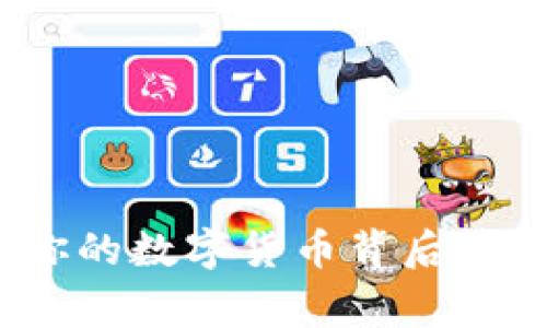 漫蝌t p钱包：你的数字货币背后藏着怎样的故事？