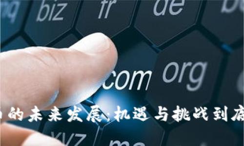 数字货币的未来发展：机遇与挑战到底在哪里？