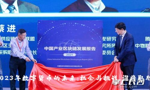 2023年数字货币的未来：机会与挑战，谁将取胜？
