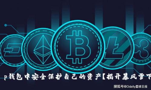 如何在t p钱包中安全保护自己的资产？揭开暴风雪下的秘密！