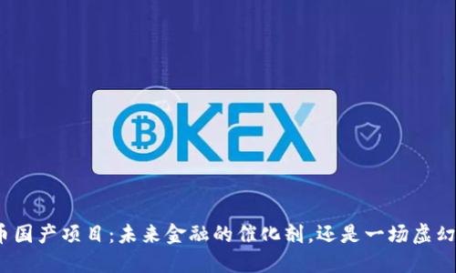 数字货币国产项目：未来金融的催化剂，还是一场虚幻的梦想？