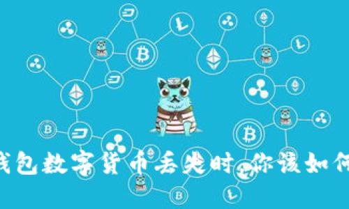 当你的TP钱包数字货币丢失时，你该如何挽回损失？