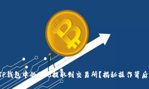 如何将TP钱包中的BNB提取到交易所？揭秘操作背后的秘密！