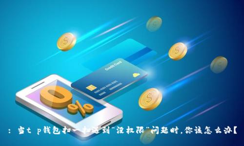: 当t p钱包扫一扫遇到“没权限”问题时，你该怎么办？