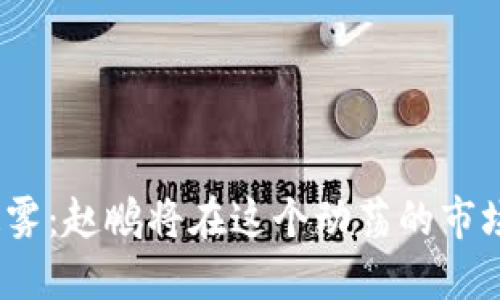 数字货币的迷雾：赵鹏将在这个动荡的市场中揭示什么？