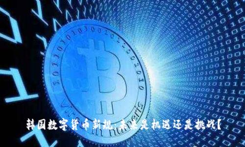 韩国数字货币新规：未来是机遇还是挑战？