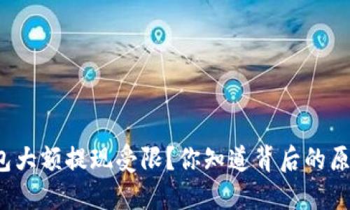 TP钱包大额提现受限？你知道背后的原因吗？