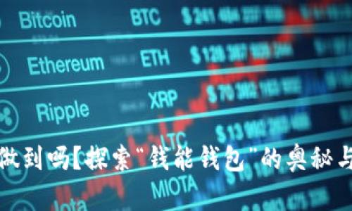 你能做到吗？探索“钱能钱包”的奥秘与惊喜