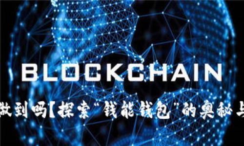 你能做到吗？探索“钱能钱包”的奥秘与惊喜