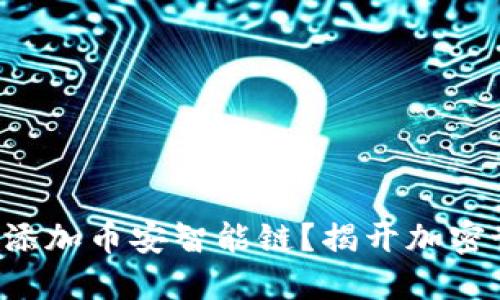 如何在TP钱包中添加币安智能链？揭开加密世界的神秘面纱！