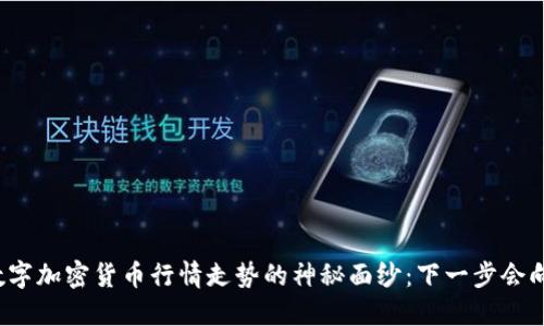揭开数字加密货币行情走势的神秘面纱：下一步会向何方？