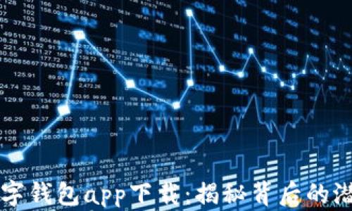 
以太坊数字钱包app下载：揭秘背后的潜力与挑战