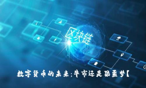 数字货币的未来：牛市还是狼噩梦？