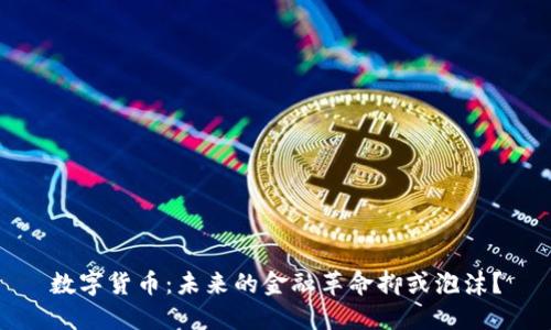 数字货币：未来的金融革命抑或泡沫？