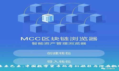 未来已来：中国数字货币的奇幻旅程与潜在挑战