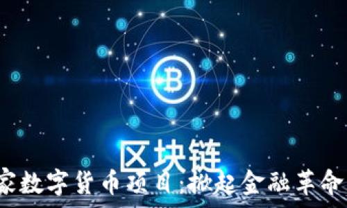   
老挝国家数字货币项目：掀起金融革命的浪潮？
