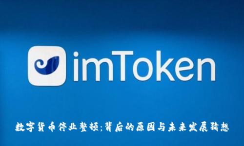 数字货币停业整顿：背后的原因与未来发展猜想