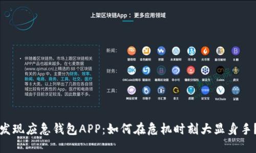 发现应急钱包APP：如何在危机时刻大显身手？