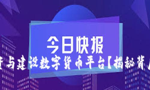 如何成功投资与建设数字货币平台？揭秘背后的关键要素