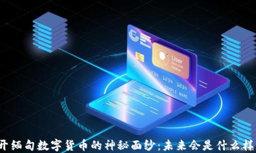 
揭开缅甸数字货币的神秘面纱：未来会是什么样子？