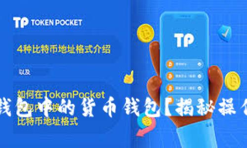 如何顺利导入TP钱包中的货币钱包？揭秘操作细节与常见问题