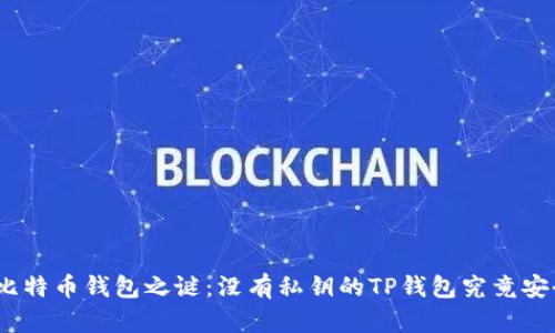 破解比特币钱包之谜：没有私钥的TP钱包究竟安全吗？