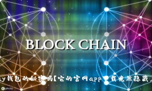 你知道Topay钱包的秘密吗？它的官网app下载竟然隐藏着这些惊喜！