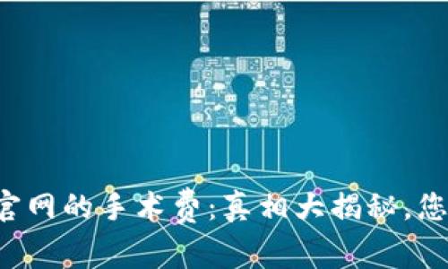 以太坊钱包官网的手术费：真相大揭秘，您准备好了吗？