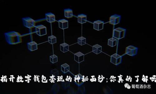  揭开数字钱包套现的神秘面纱：你真的了解吗？