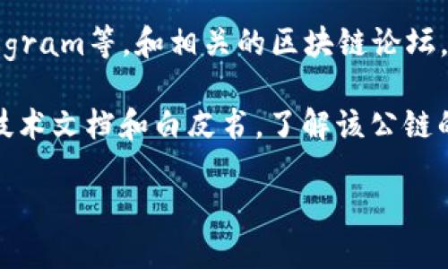 要查看TP钱包公链的信息，您可以访问以下几个途径：

1. **TP钱包官网**：通常官方网站上会提供公链相关的信息和更新。您可以在官网上找到关于公链的介绍、发展动态和其他用户指南。

2. **区块链浏览器**：您可以使用相关的区块链浏览器来查询公链上的交易、区块和其他技术数据。例如一些主流区块链如以太坊、比特币等都有相应的浏览器，您可以通过输入钱包地址来查看相关数据。

3. **社交媒体和社区论坛**：您可以关注TP钱包的官方社交媒体帐号如Twitter、Telegram等，和相关的区块链论坛，那里会有用户分享的信息和经验。

4. **技术文档和白皮书**：如果您想深入了解TP钱包公链的技术细节，您可以查找其技术文档和白皮书，了解该公链的设计理念、架构和生态系统。

如果您有更具体的问题，欢迎进一步询问！