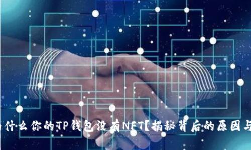 bianoti为什么你的TP钱包没有NFT？揭秘背后的原因与解决方案