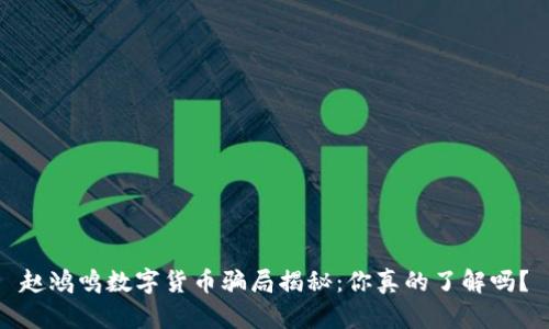 赵鸿鸣数字货币骗局揭秘：你真的了解吗？
